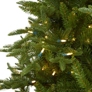 7.5' Cambridge Fir Artificial Christmas Tree with 800 Clear Warm (Multifunction) LED Lights with Instant Connect Technology and 1644 Bendable Branches
