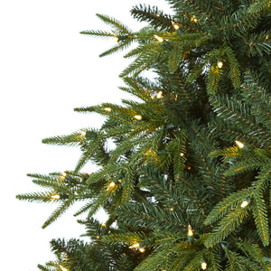 7.5’ Colorado Mountain Fir “Natural Look” Artificial Christmas Tree with 600 Clear LED Lights and 3048 Bendable Branches