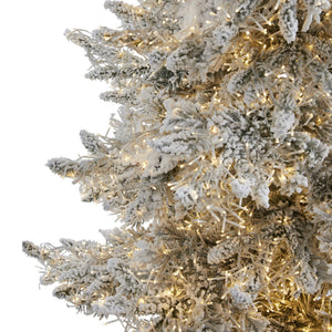7.5' Flocked Grand Northern Rocky Fir Artificial Christmas Tree with 6672 Warm Cluster (Multifunction) LED Lights and 1071 Bendable Branches