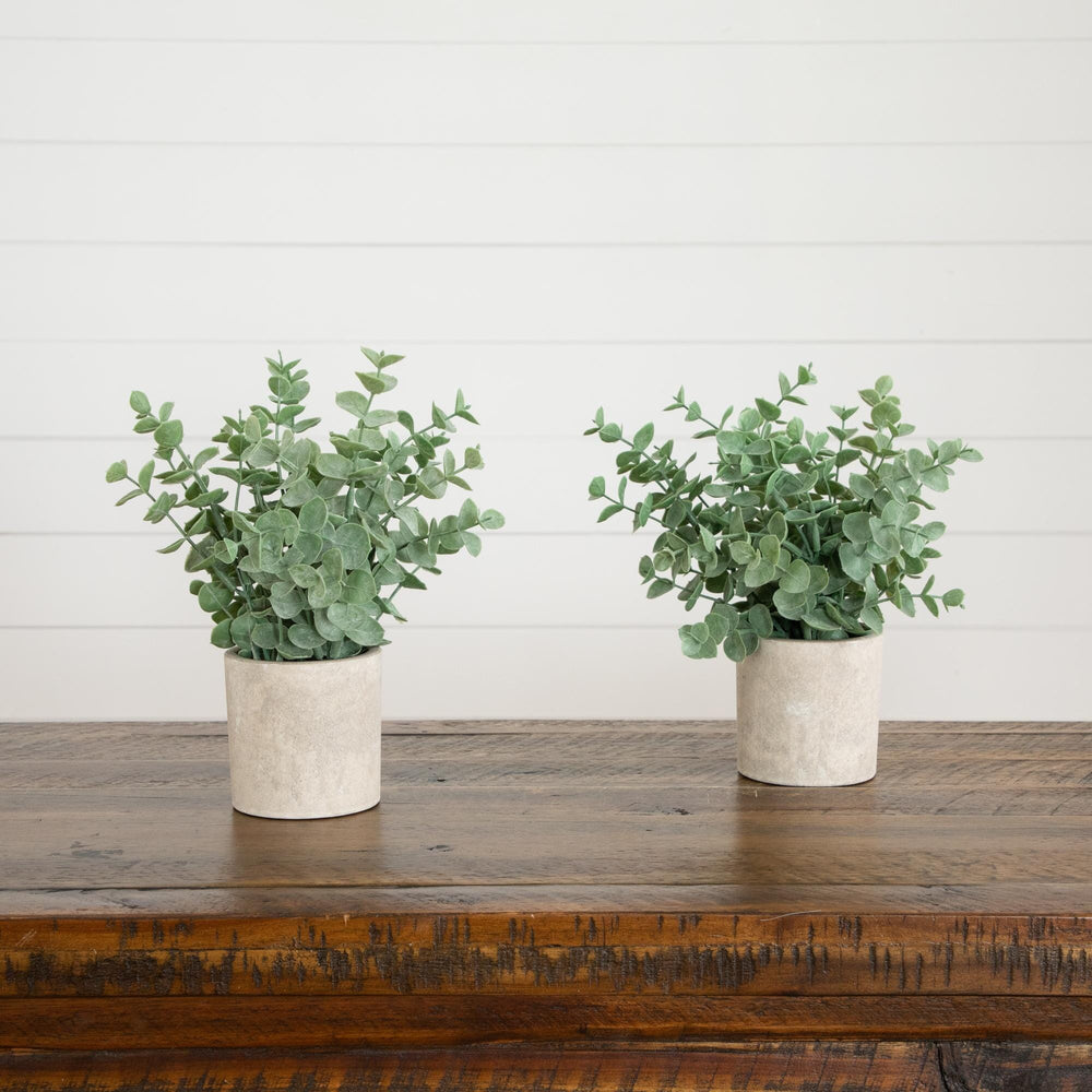 8" Artificial Baby Blue Eucalyptus in Decorative Planter - Set of 2