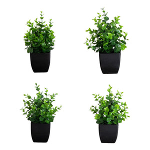 8” Artificial Boxwood in Black Square Pot - Set of 4