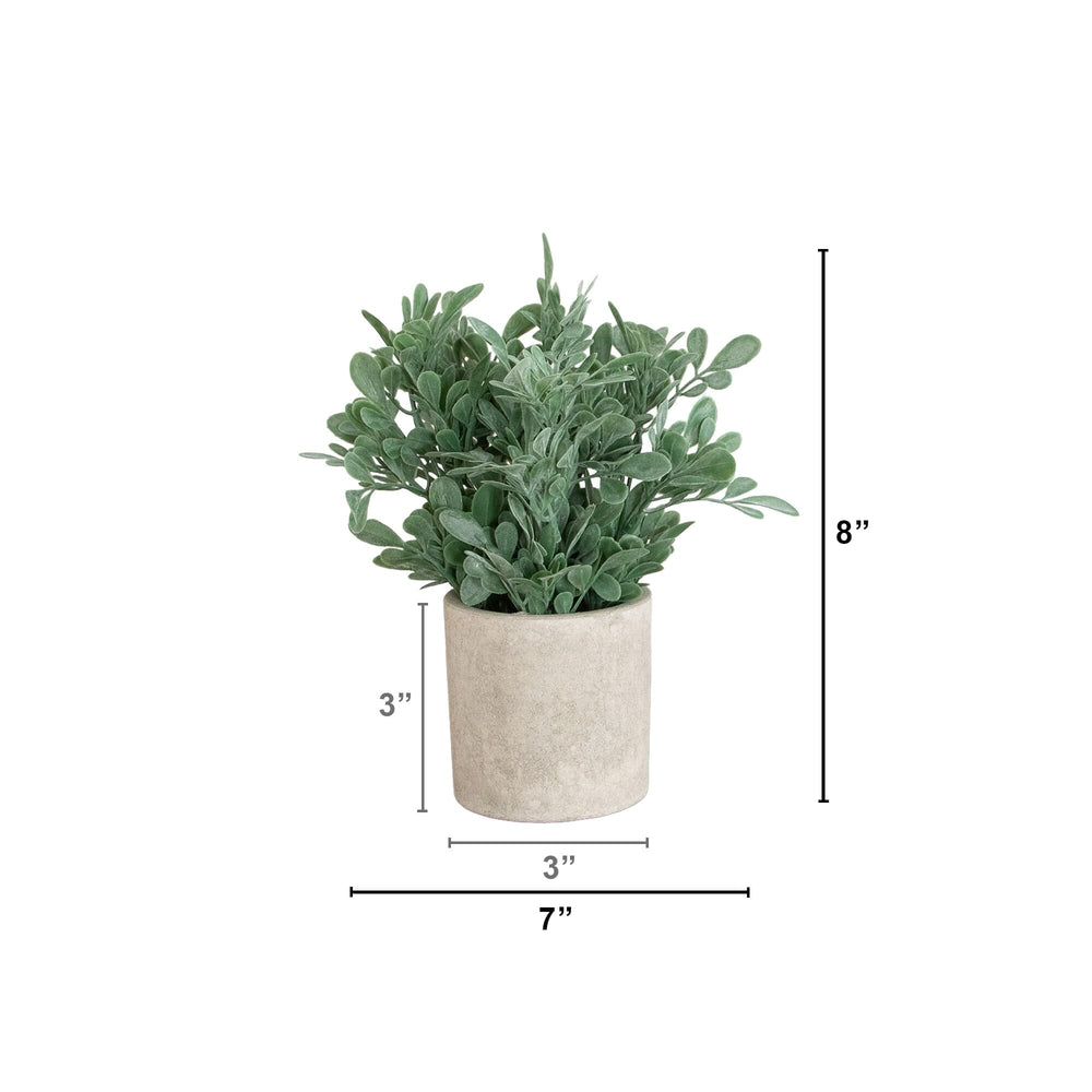 8" Artificial Boxwood in Decorative Planter - Set of 2