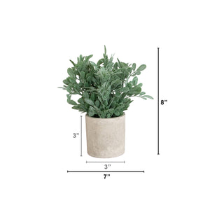8" Artificial Boxwood in Decorative Planter - Set of 2