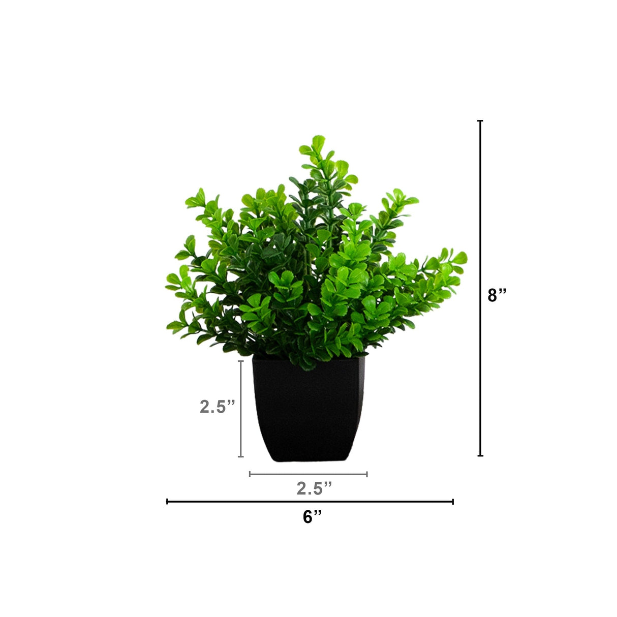 8” Artificial Boxwood Plant in Black Square Pot - Set of 4