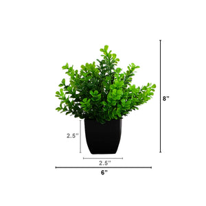 8” Artificial Boxwood Plant in Black Square Pot - Set of 4