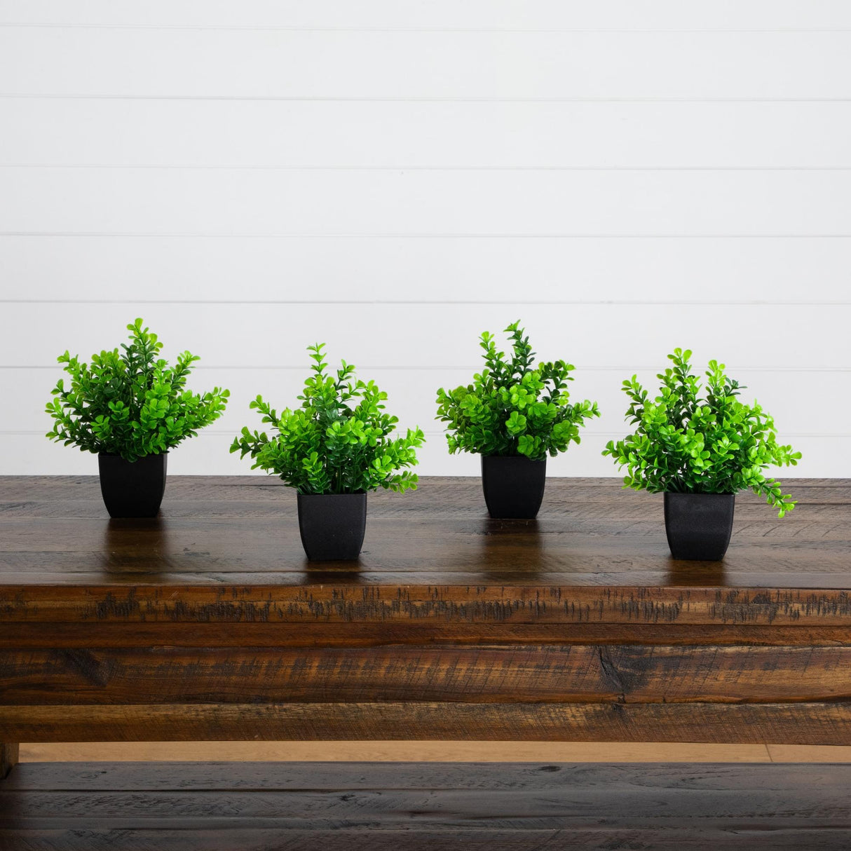 8” Artificial Boxwood Plant in Black Square Pot - Set of 4