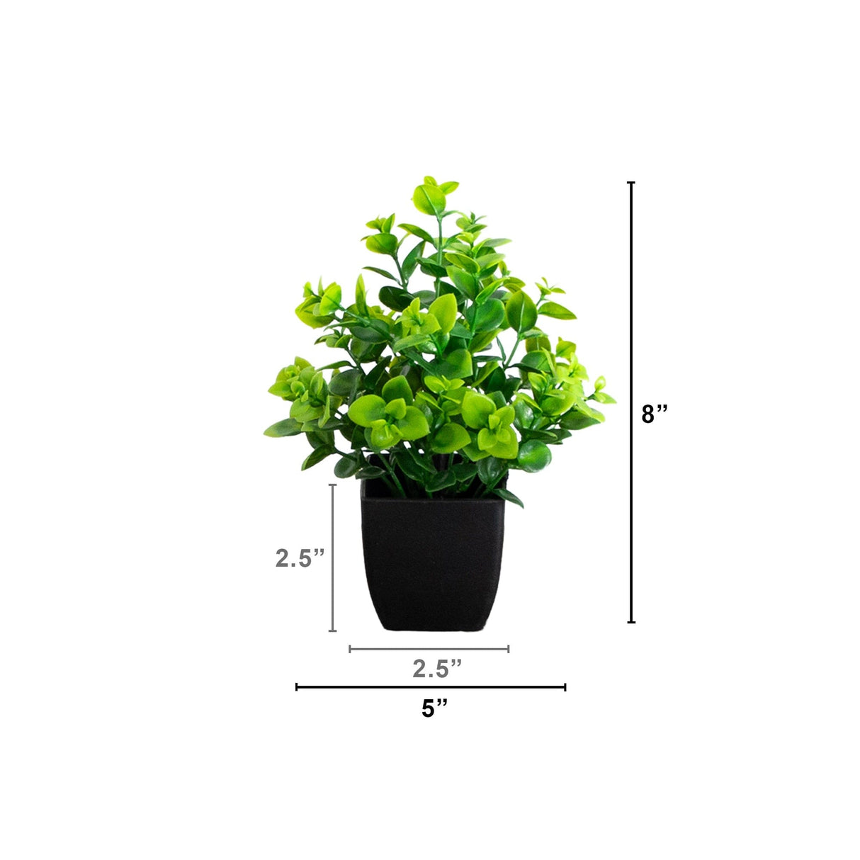 8” Artificial Evergreen Boxwood Plant in Black Square Pot - Set of 3