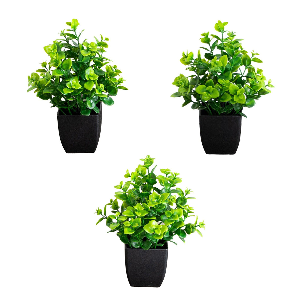 8” Artificial Evergreen Boxwood Plant in Black Square Pot - Set of 3
