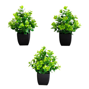 8” Artificial Evergreen Boxwood Plant in Black Square Pot - Set of 3