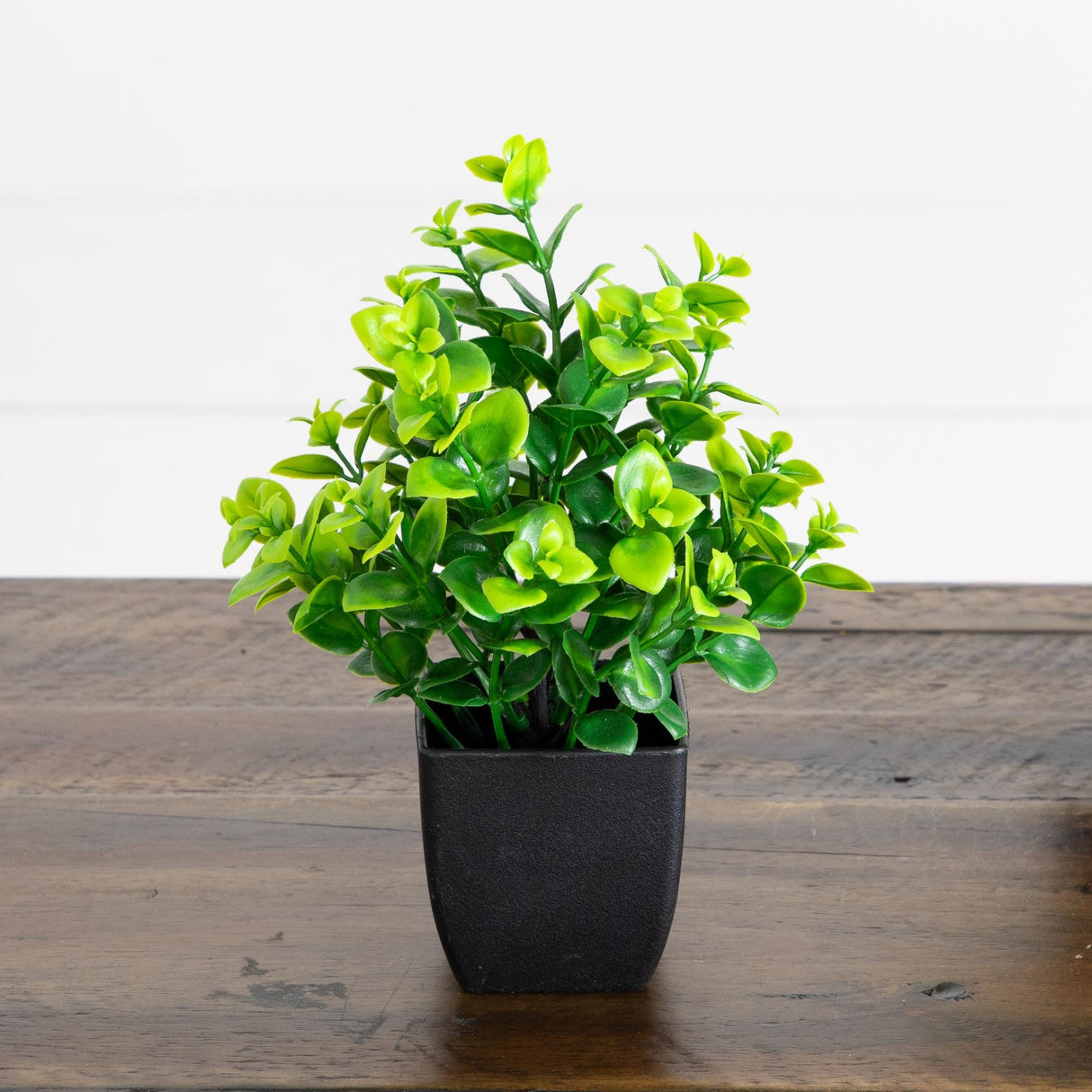 8” Artificial Evergreen Boxwood Plant in Black Square Pot - Set of 3