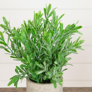 8" Artificial Grass Plant in Decorative Planter - Set of 3