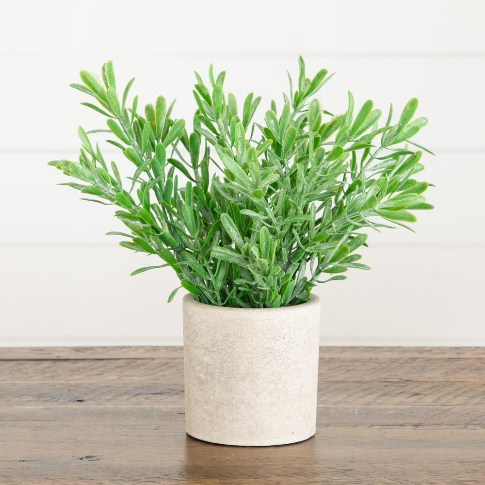 8" Artificial Grass Plant in Decorative Planter - Set of 3