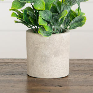 8" Artificial Greenery in Decorative Planter - Set of 2
