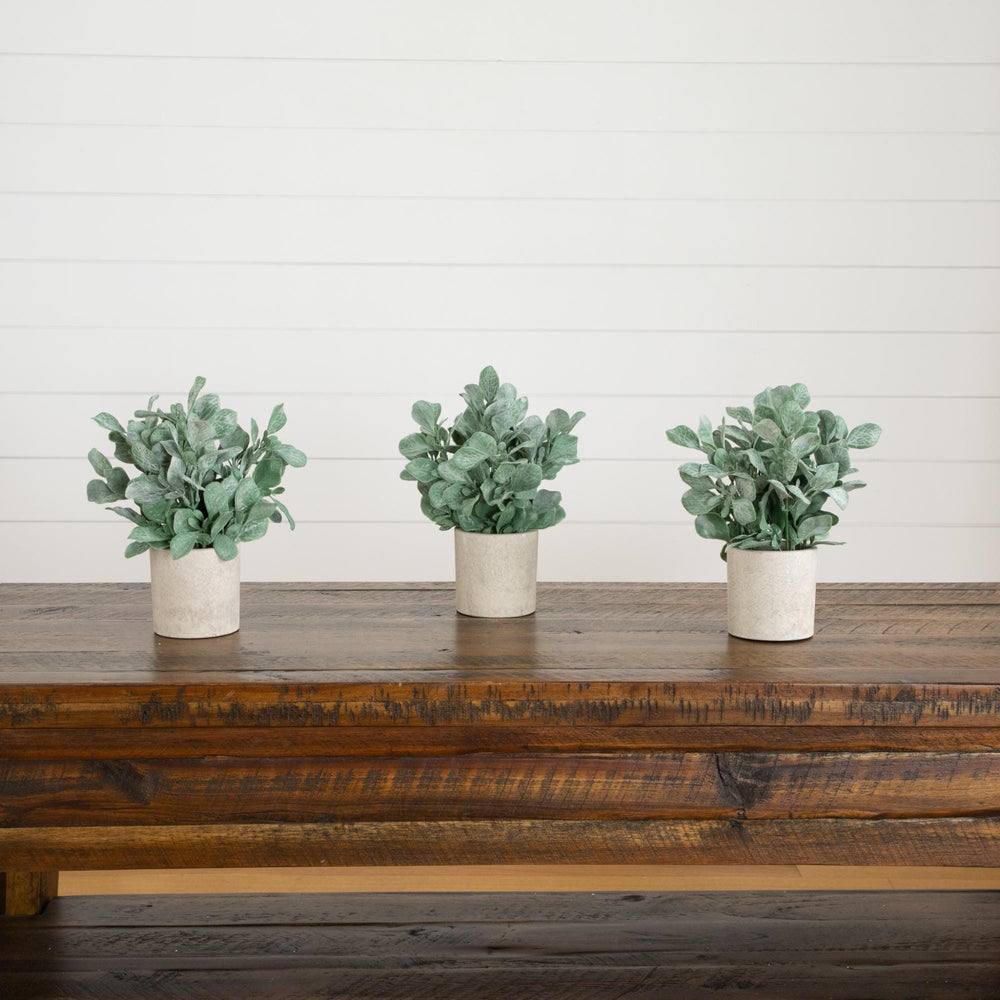 8" Artificial Lambs Ear in Decorative Planter - Set of 3