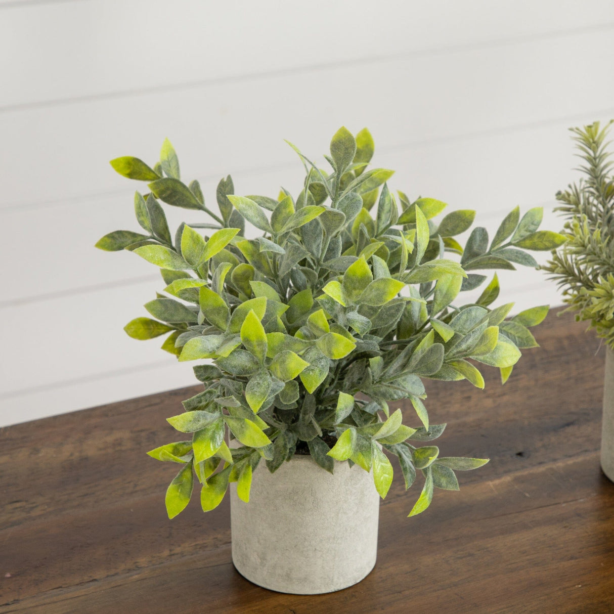 8” Artificial Mini Eucalyptus Potted Plants - Set of 3