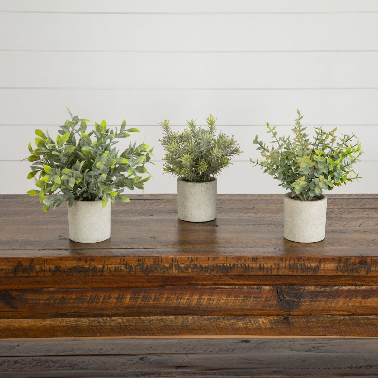 8” Artificial Mini Eucalyptus Potted Plants - Set of 3