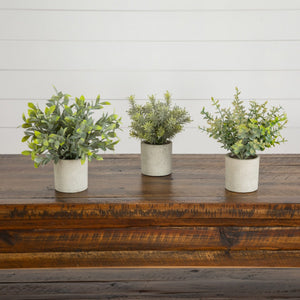8” Artificial Mini Eucalyptus Potted Plants - Set of 3