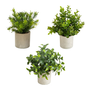 8” Artificial Mini Greenery Potted Plant - Set of 3
