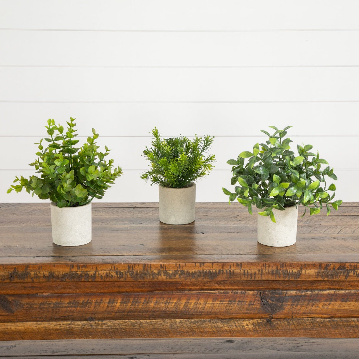 8” Artificial Mini Greenery Potted Plant - Set of 3