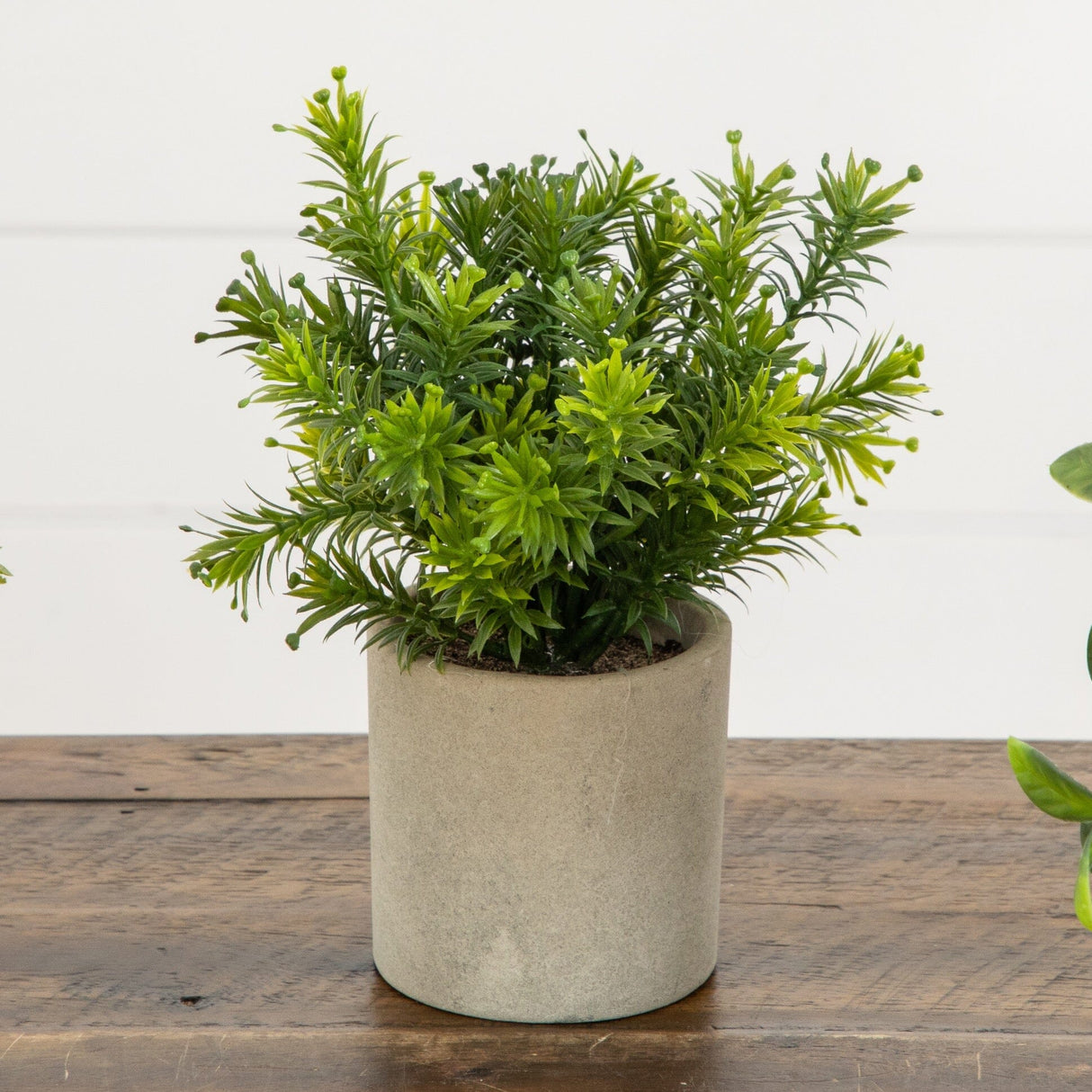 8” Artificial Mini Greenery Potted Plant - Set of 3