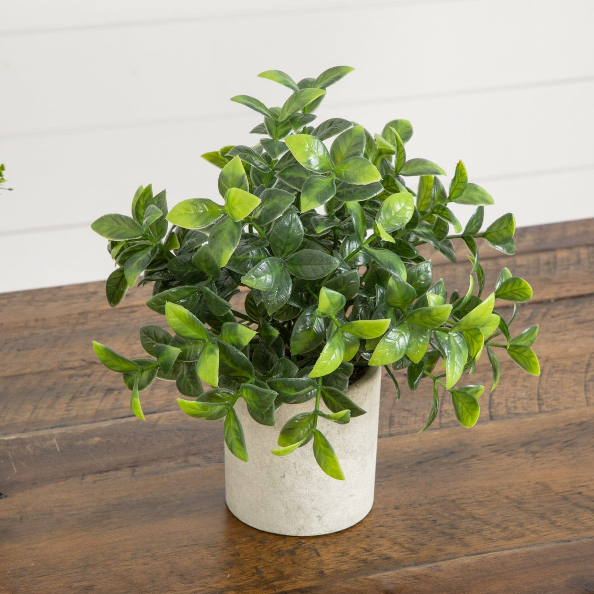 8” Artificial Mini Greenery Potted Plant - Set of 3