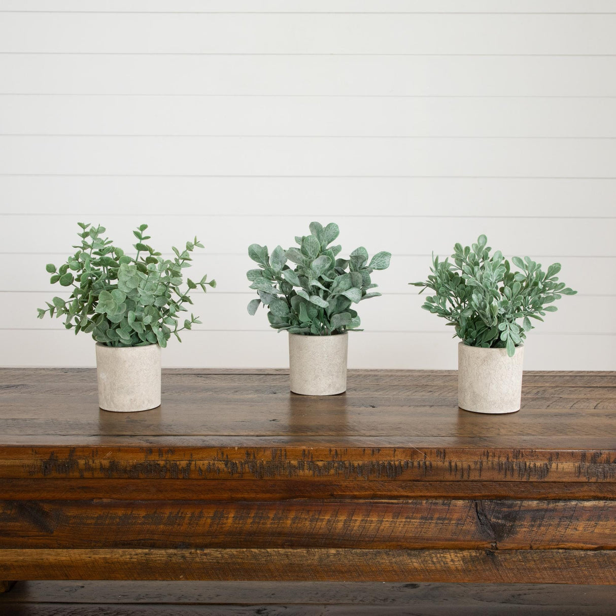 8" Artificial Mixed Eucalyptus Plant in Decorative Planter - Set of 3