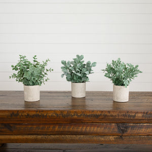 8" Artificial Mixed Eucalyptus Plant in Decorative Planter - Set of 3
