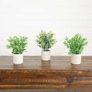 8" Artificial Mixed Plant in Decorative Planter - Set of 3