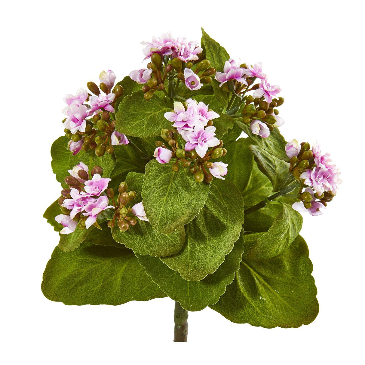 8” Kalanchoe Artificial Bush Flower (Set of 6)