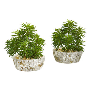 8" Succulent Artificial Plant in Weathered Oak Planter (Set of 2)"
