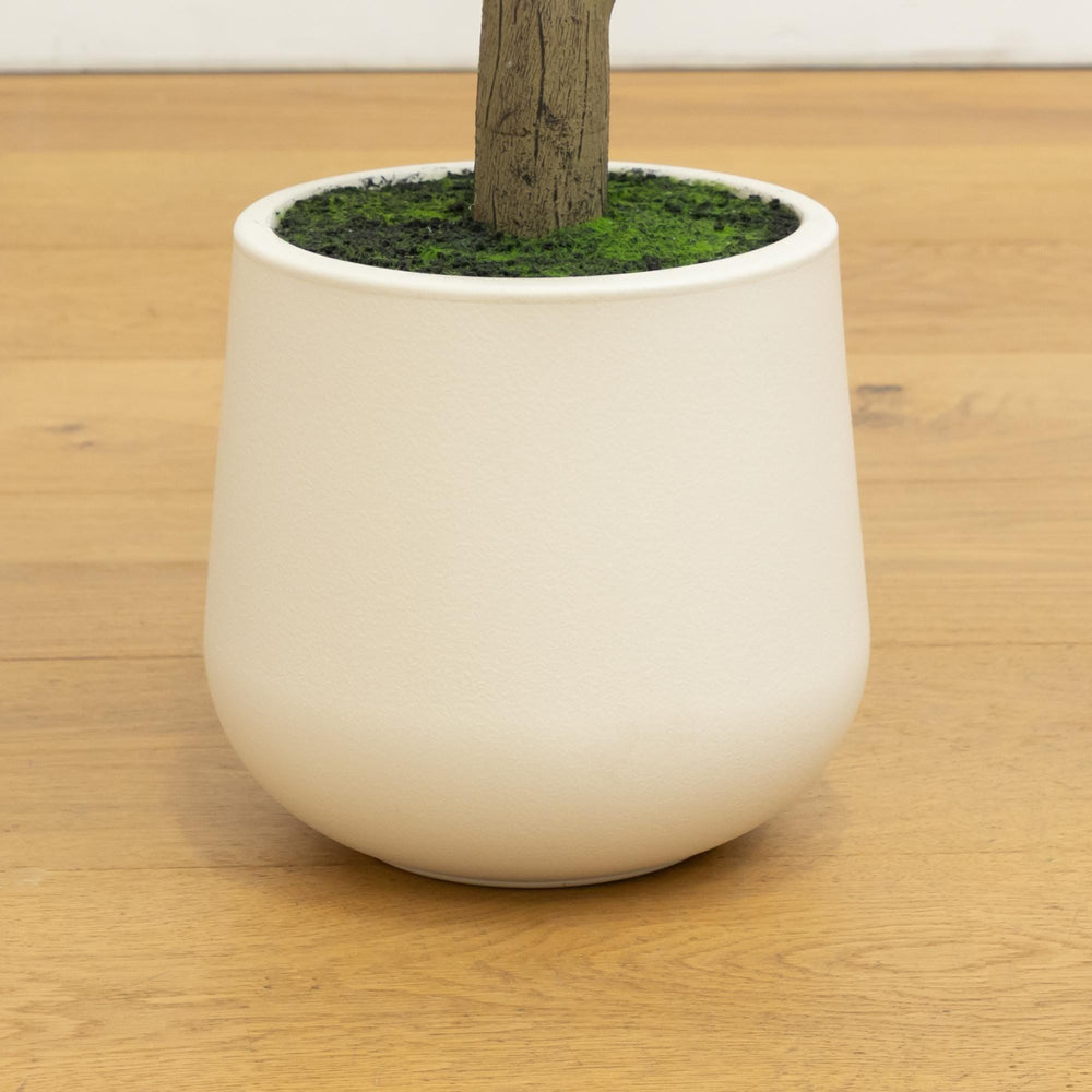 7' Artificial Olive Tree in White Decorative Planter