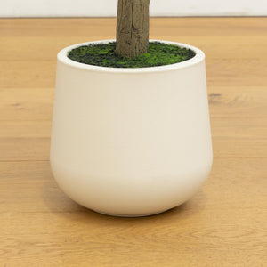 7' Artificial Olive Tree in White Decorative Planter