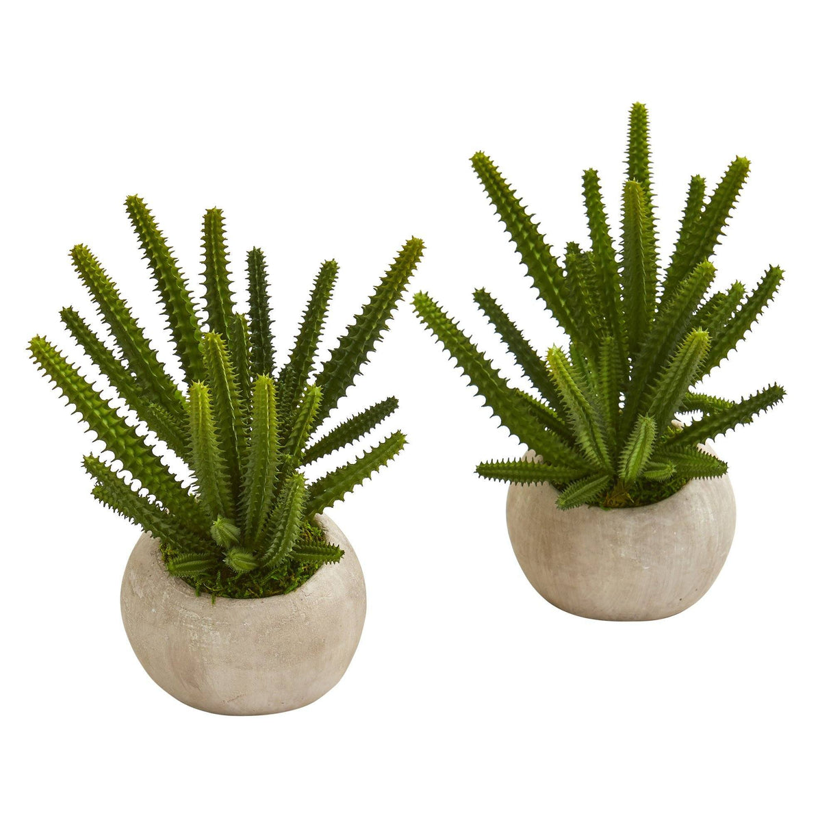 9” Finger Cactus Artificial Plant in Stone Planter (Set of 2)