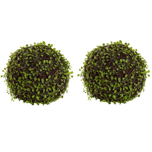 9” Mohlenbechia Ball (Set of 2)