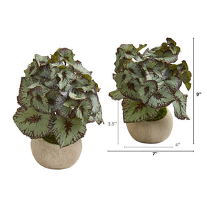 9” Rex Begonia Artificial Plant in Stone Gray Planter (Set of 2)