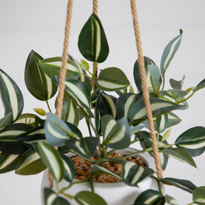 Artificial Wandering Jew & String of Hearts Hanging Plant - Set of 2