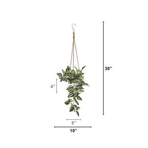 Artificial Wandering Jew & String of Hearts Hanging Plant - Set of 2