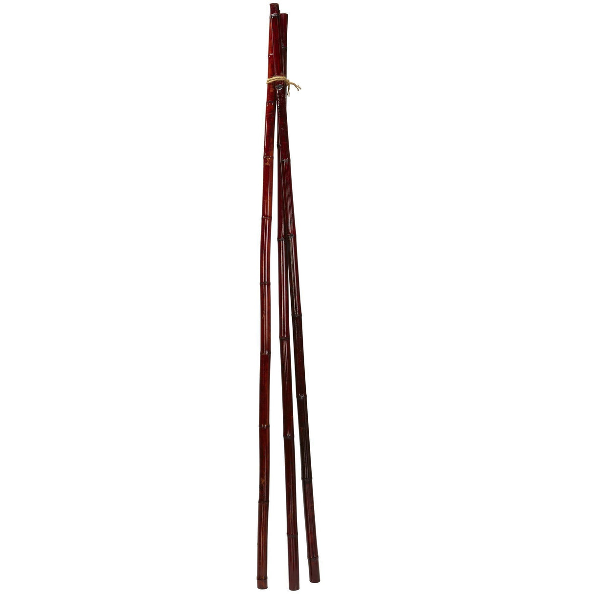 Bamboo Poles (Set of 6)