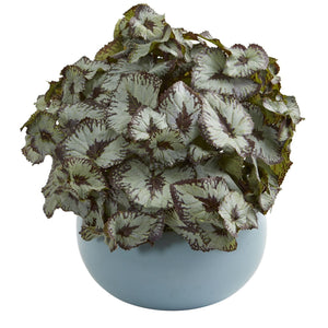 Begonia Artificial Plant in Blue Ceramic Vase