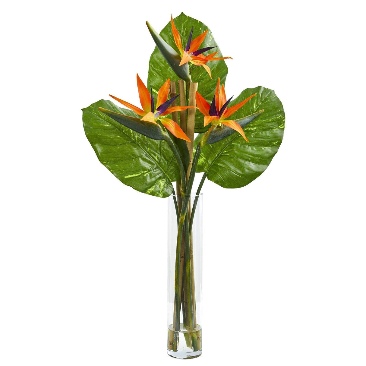 Bird of Paradise Artificial Arrangement in Cylinder Vase