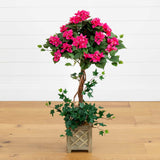 34" Bougainvillea Topiary w/Wood Box