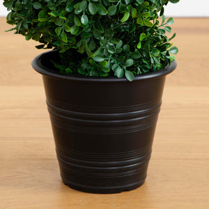 4' Boxwood Spiral Topiary with Planter (Indoor/Outdoor)
