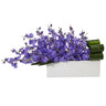 Dancing Lady Orchid in Rectangular Ceramic