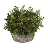 Eucalyptus Artificial Plant in Oak Planter