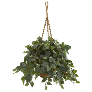 Fittonia Artifical Plant in Hanging Basket