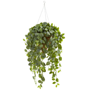 Fittonia Artificial Plant in Hanging Cone Basket (Real Touch)