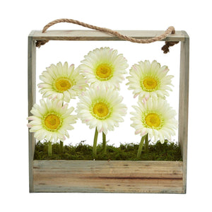 Gerber Daisy Garden in Hanging Frame