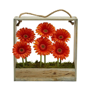 Gerber Daisy Garden in Hanging Frame