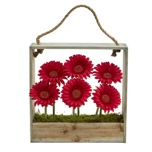 Gerber Daisy Garden in Hanging Frame
