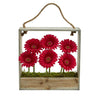 Gerber Daisy Garden in Hanging Frame